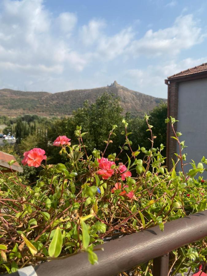 Tatin - Hotel & Cafe In Mtsʼkhetʼa Eksteriør bilde